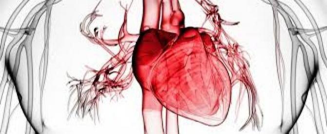 پاسخگویی  به سوالات رایج در خصوص نارسایی قلبی (2)